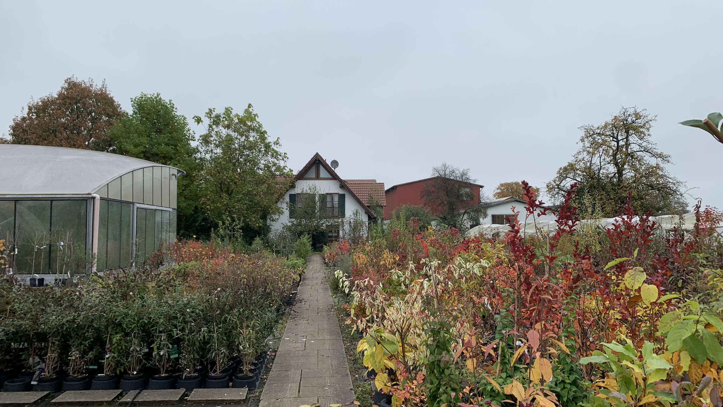 Oktober 2024 | Herbstfärbung
