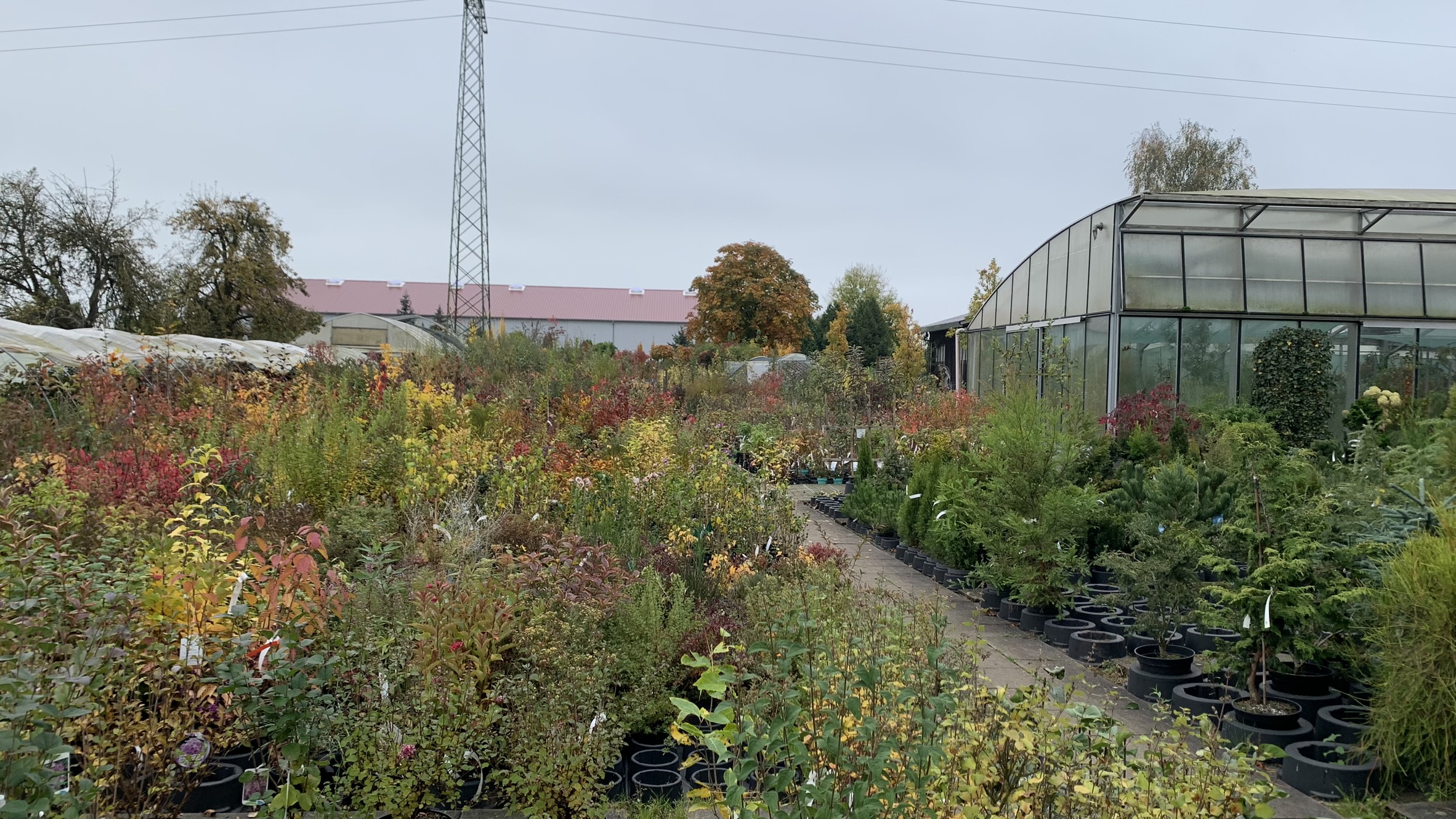 Oktober 2024 | Herbstfärbung